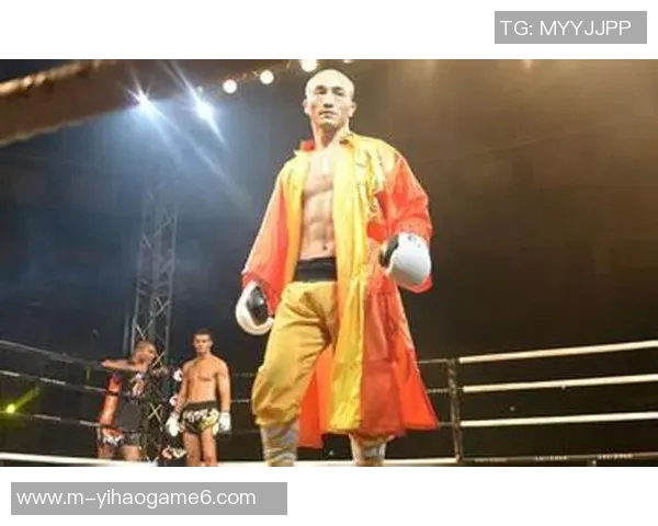 武林风巅峰对决一龙与王洪祥谁将问鼎武林之巅 武林风巅峰对决一龙与王洪祥谁将问鼎武林之巅